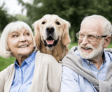 Pawsitive Aging The Role of Pets in Enhancing the Quality of Life for Seniors